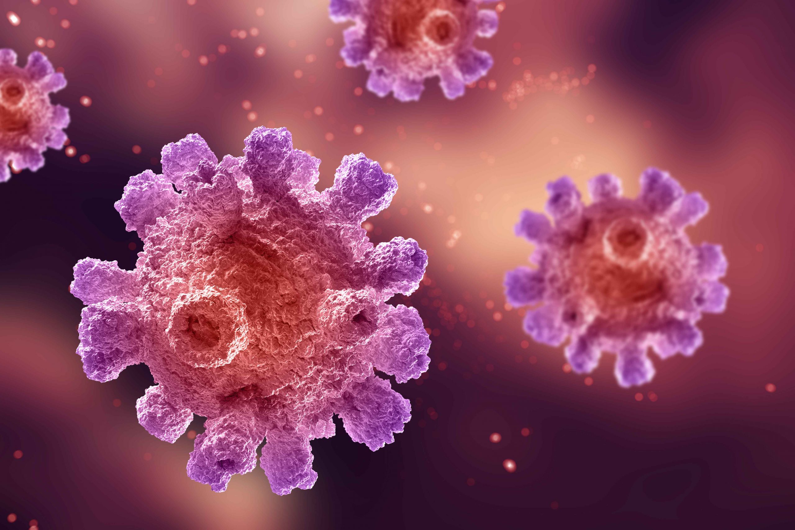 coronavirus coronavirus